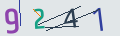 verifycode